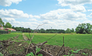 fields to north