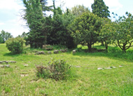 Anzac garden
