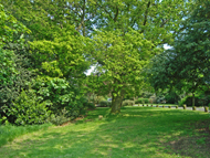 Shrewsbury Park