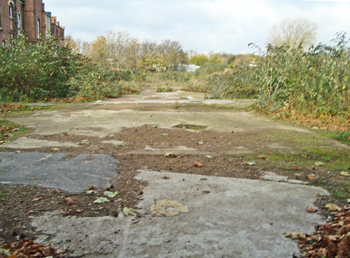 wasteland at Dulwich Community Hospital