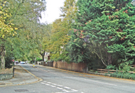 Hornsey Lane