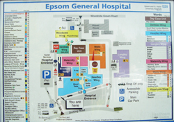 Epsom District Hospital