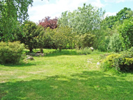 Anzac garden