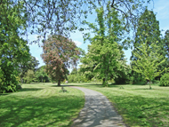 Hillfield Park