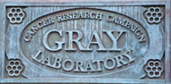 Gray Institute