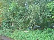 Site of main drive