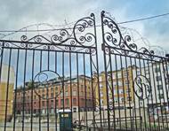 Hospital gates
