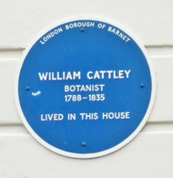 Blue plaque